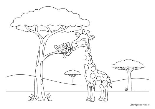 Image of the animals250 coloring page