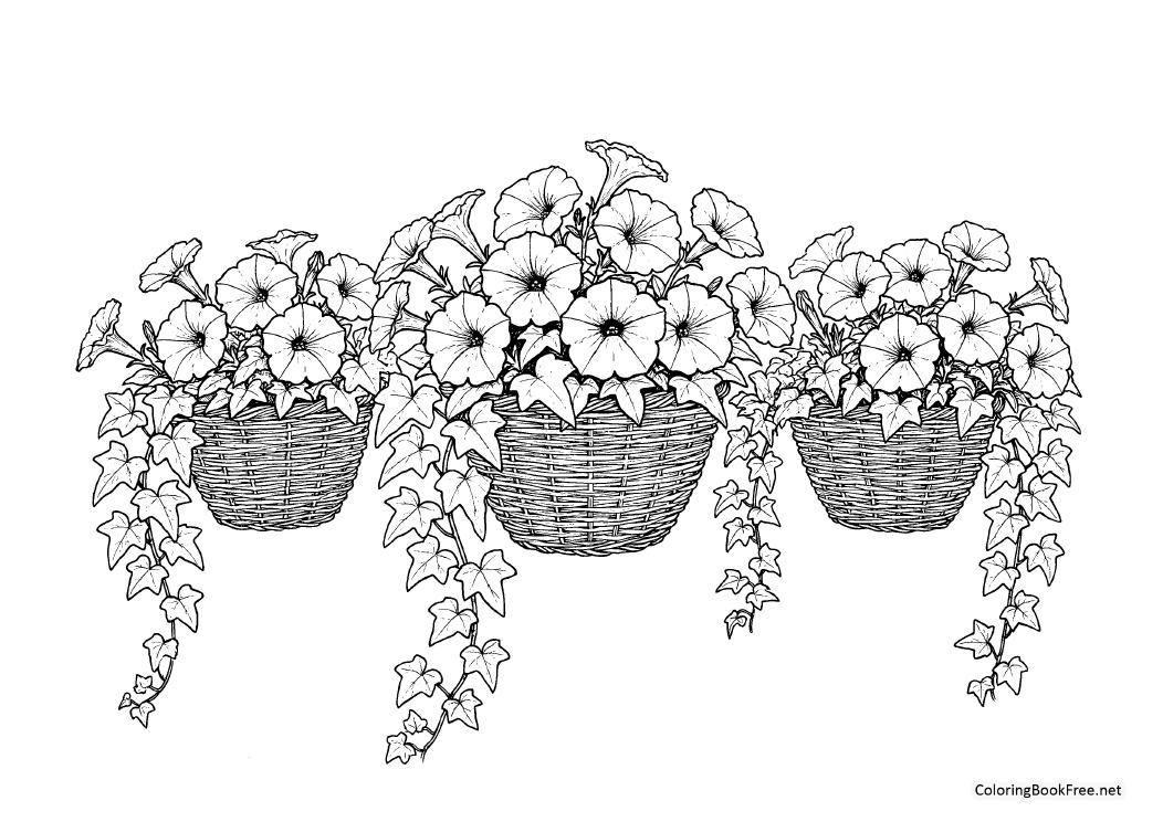 Image of the botanical_floral_gardens177 coloring page
