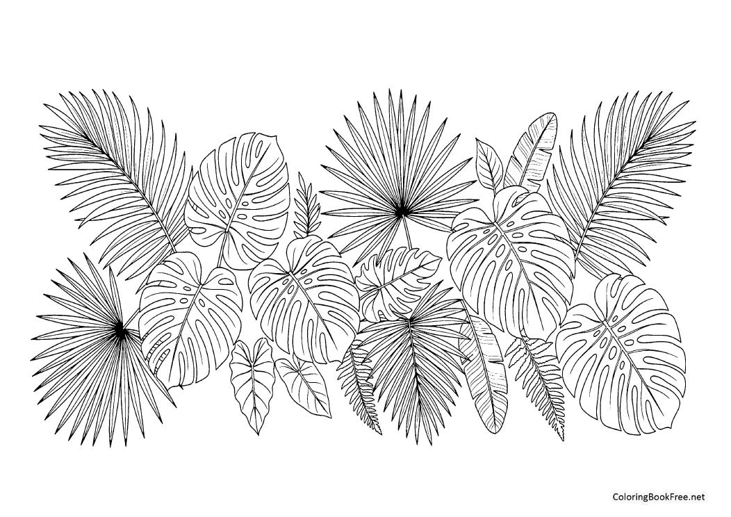 Image of the botanical_floral_gardens179 coloring page